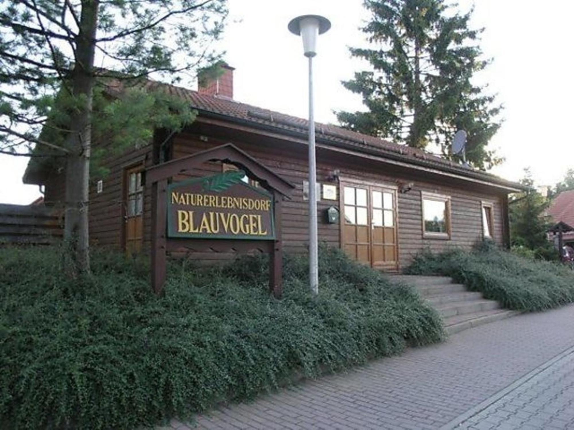 Ferienhaus Nr 32, Typ A, Ferienanlage Blauvogel, Hasselfelde, Harz Exterior foto